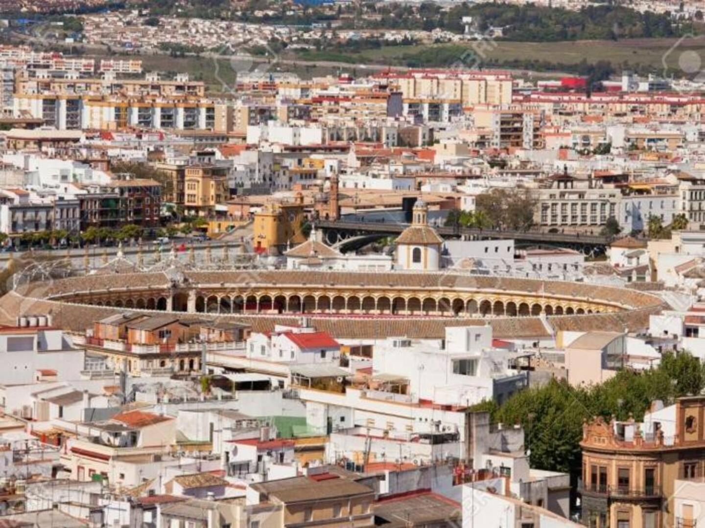 Pure Elegance And Confort Seville