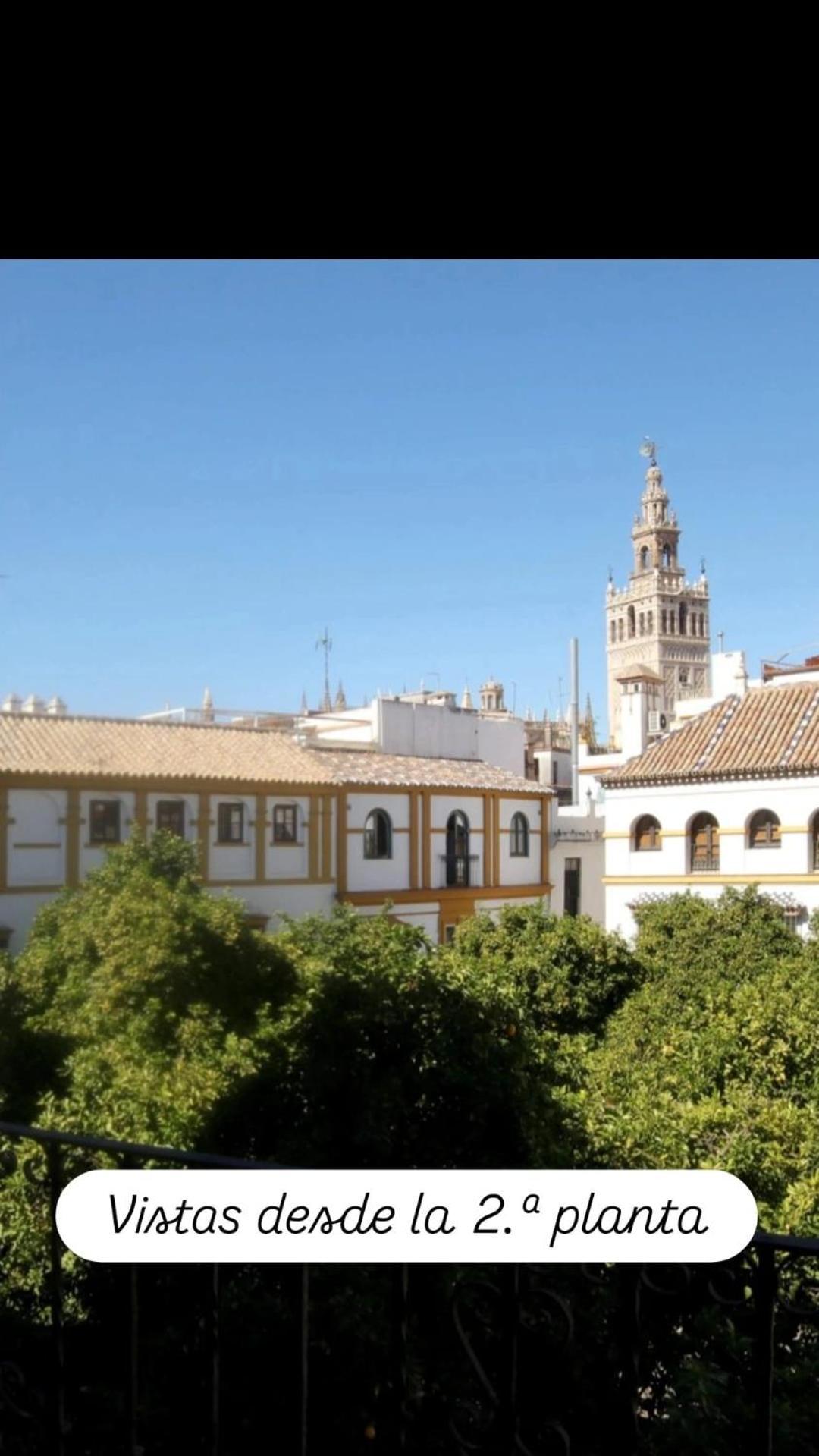 En La Plaza Doña Elvira, 7 *