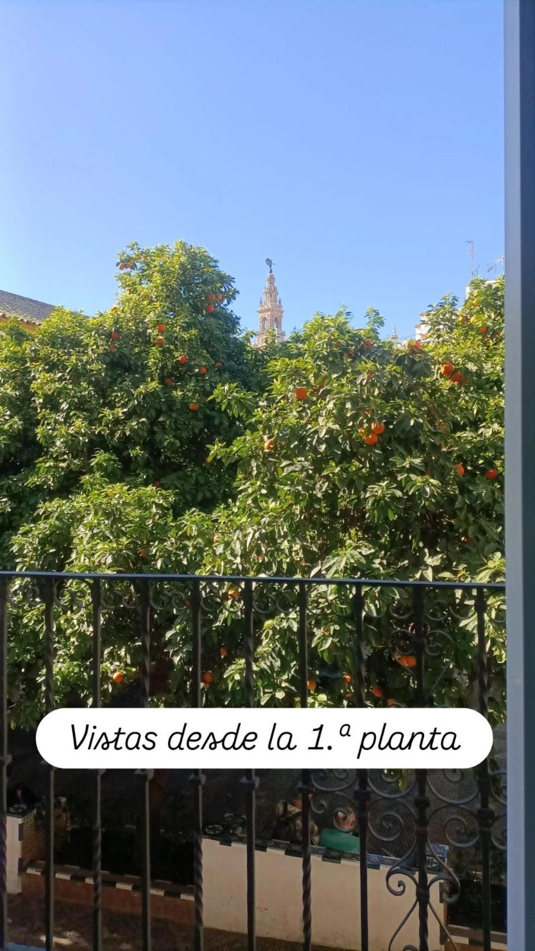 En La Plaza Doña Elvira, 7 *