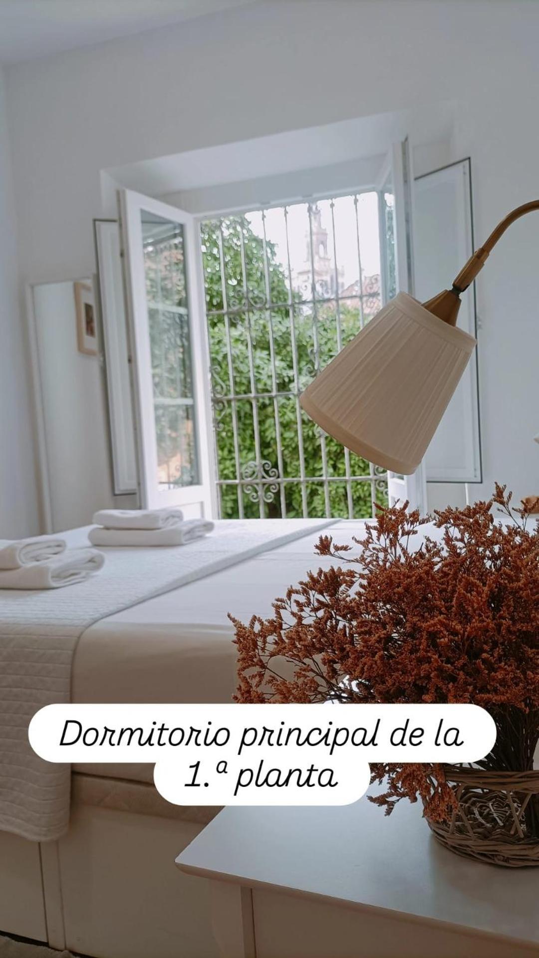 En La Plaza Doña Elvira, 7 Apartamento Sevilla