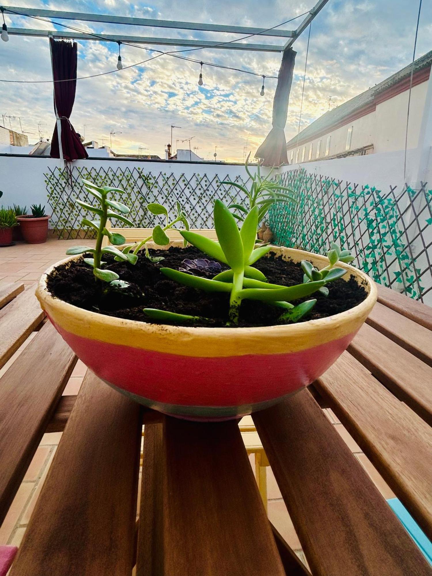 La Azotea Del Sol Apartment *