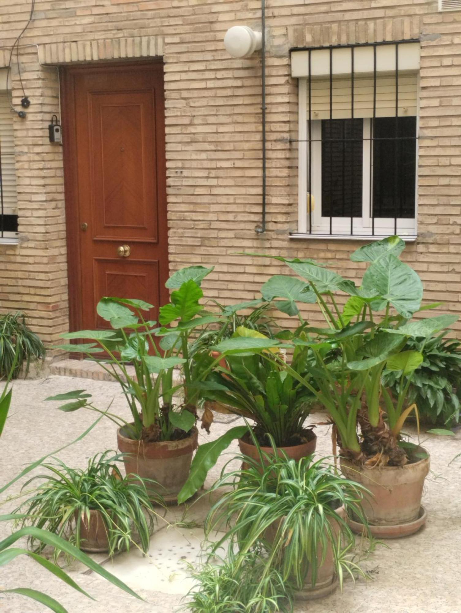 Apartment La Casa De Pepa