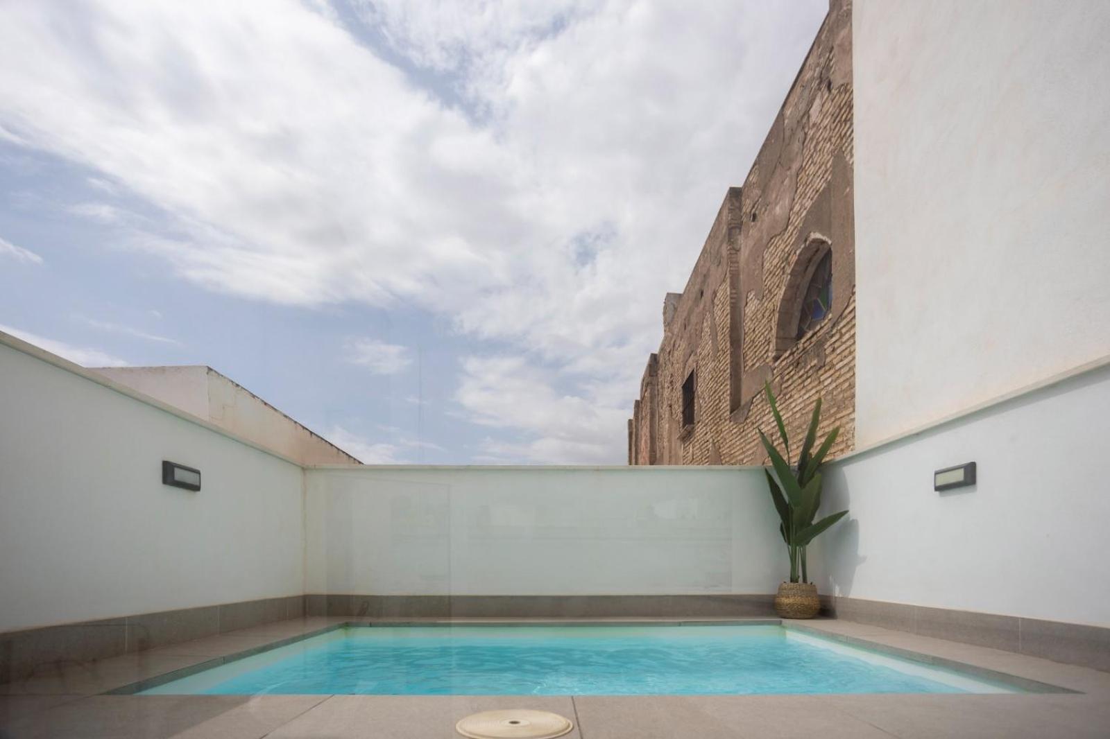 Private & Pool Goyeneta Urban Apartment Seville
