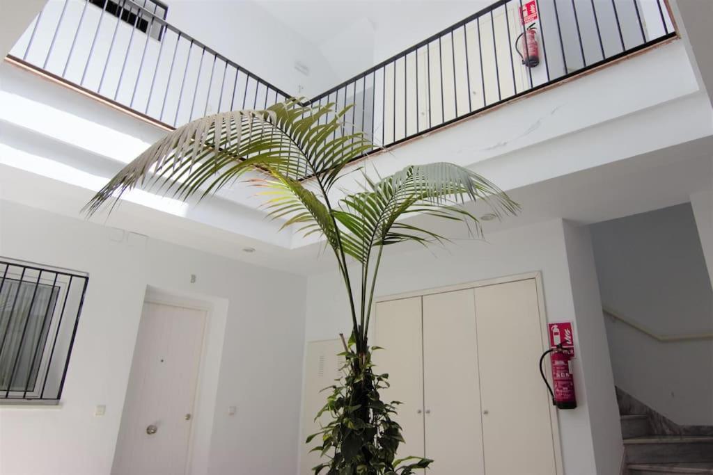 Rentalsevilla Gran Poder Apartamento Sevilla