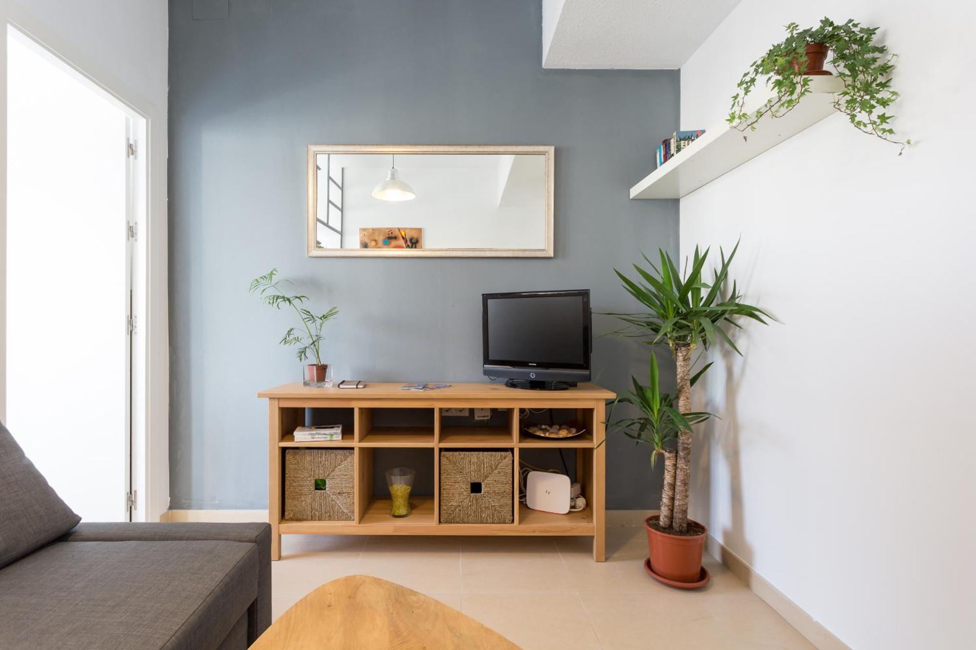 Center's Heart Apartment *