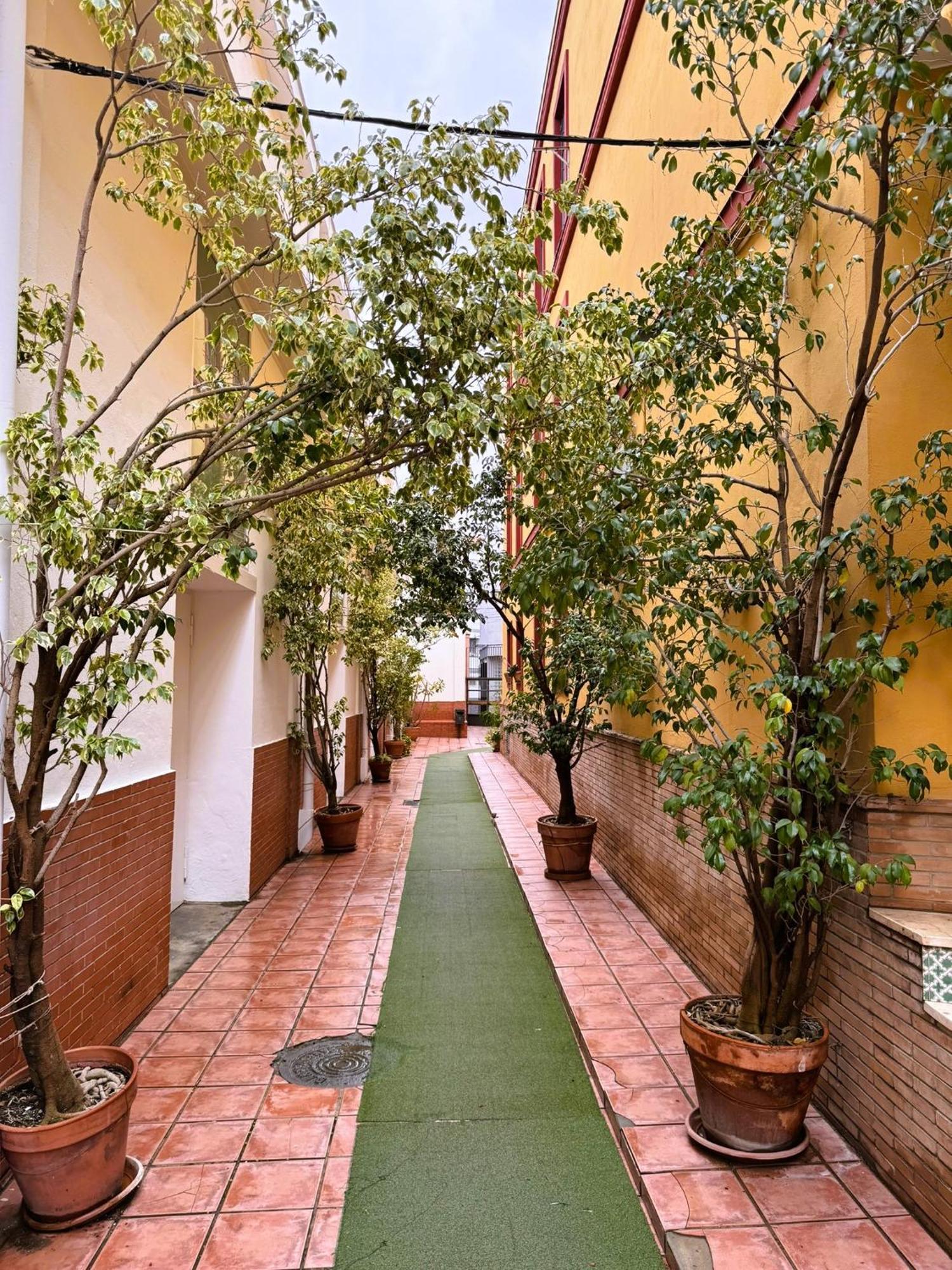 Duplex - Terraza Solarium - Alameda De Hercules * Sevilla