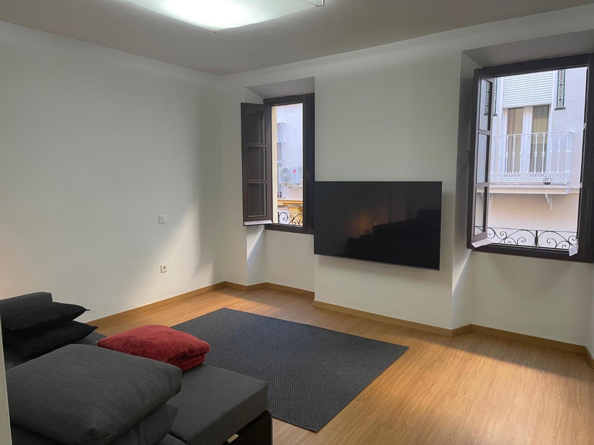 Apartamento Calle Rodrigo De Triana Con Opcion De Parking *
