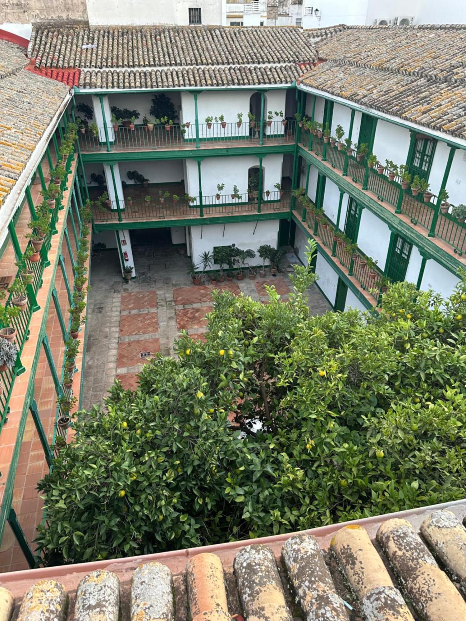 Casa Duque Compartida Familiar 1-habitacion Con Bano Propio * Sevilla