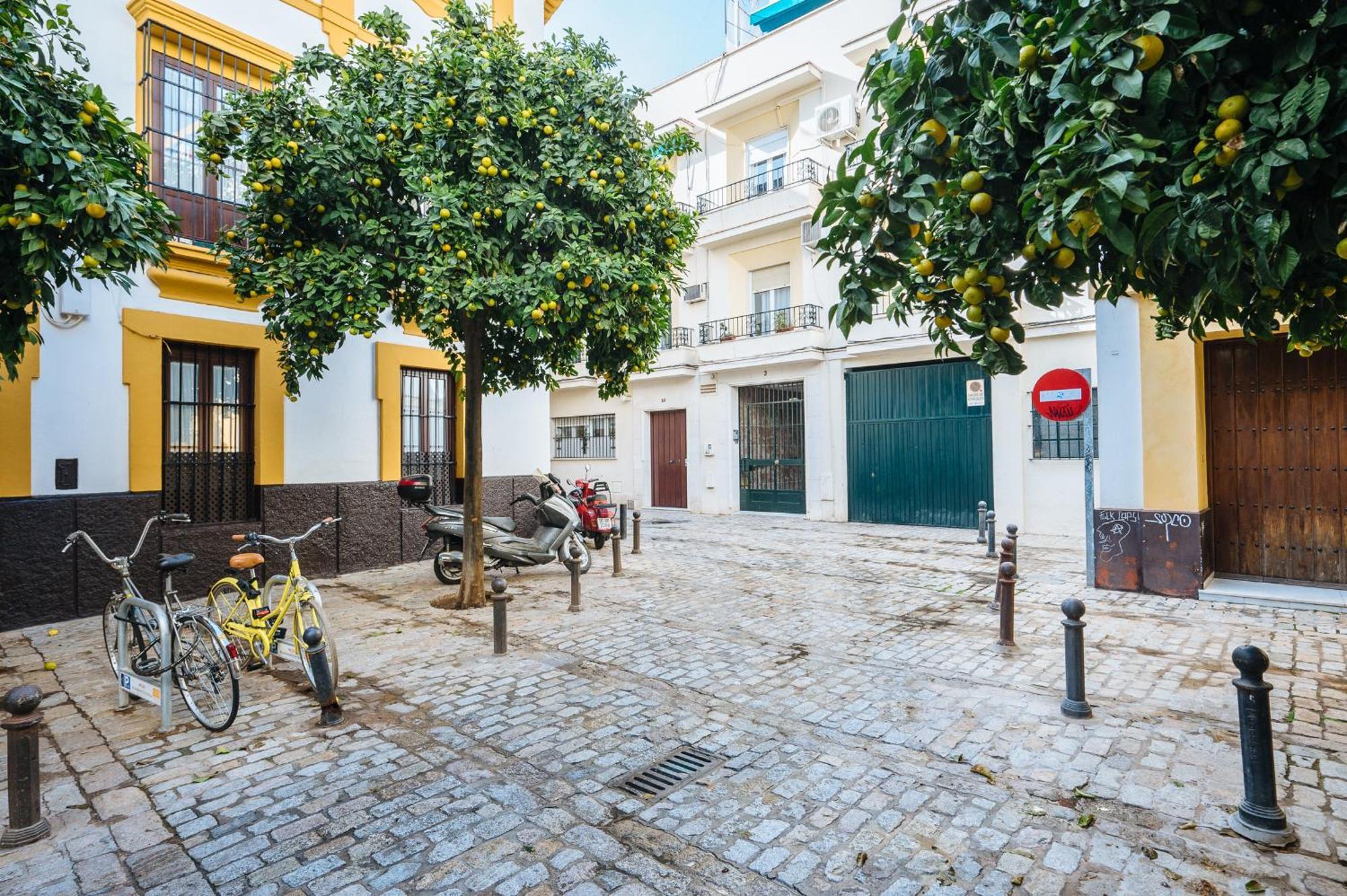 Bright Bunk Bed In Historic Center * Sevilla