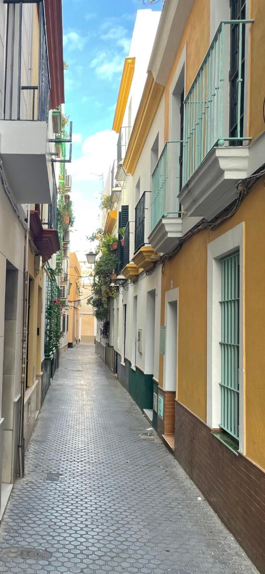Arco Macarena Apartamento