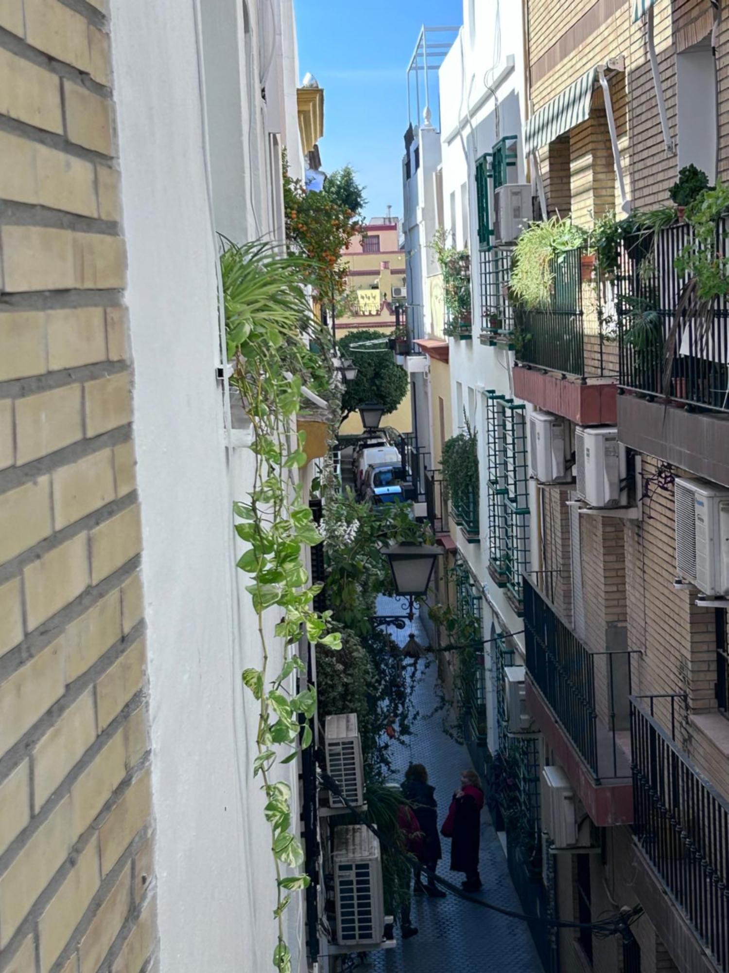 Apartamento Arco Macarena Sevilla