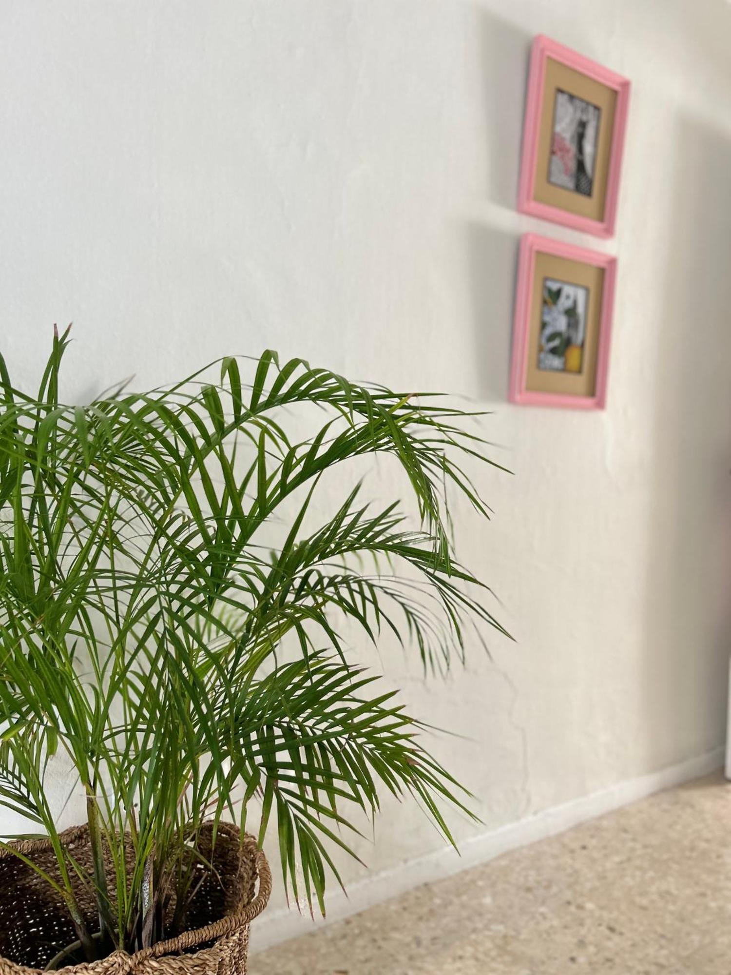 Arco Macarena Apartamento Sevilla