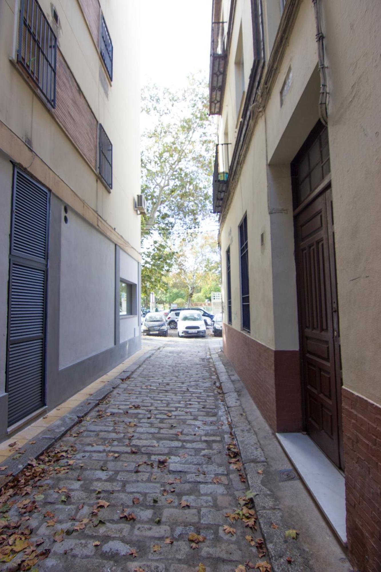 Rentalsevilla Torneo Apartamento Sevilla