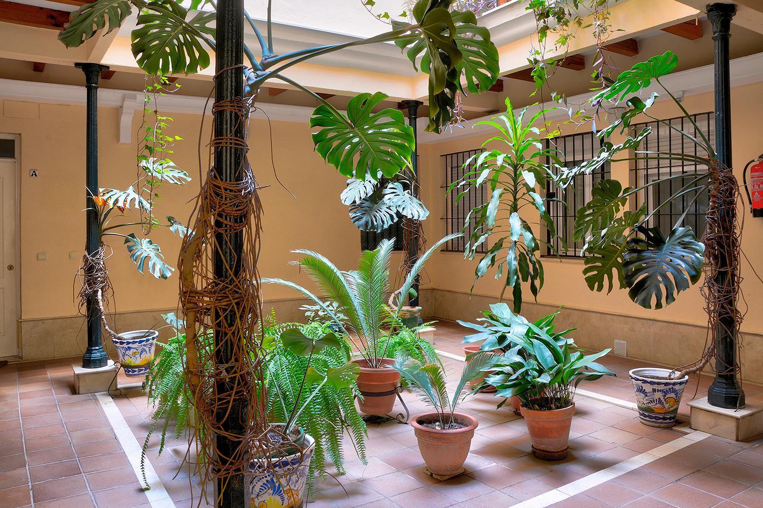 Apartamento Bonito Piso En Calle Antolinez *