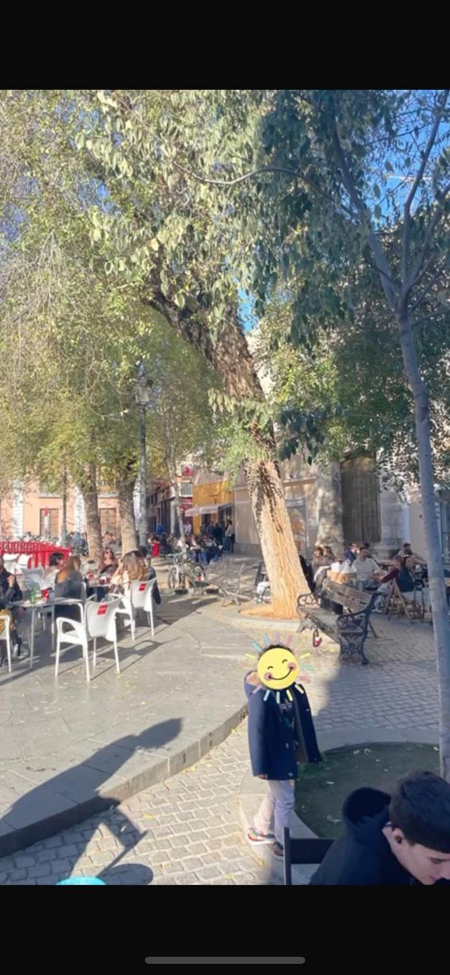 Arco Macarena * Sevilla