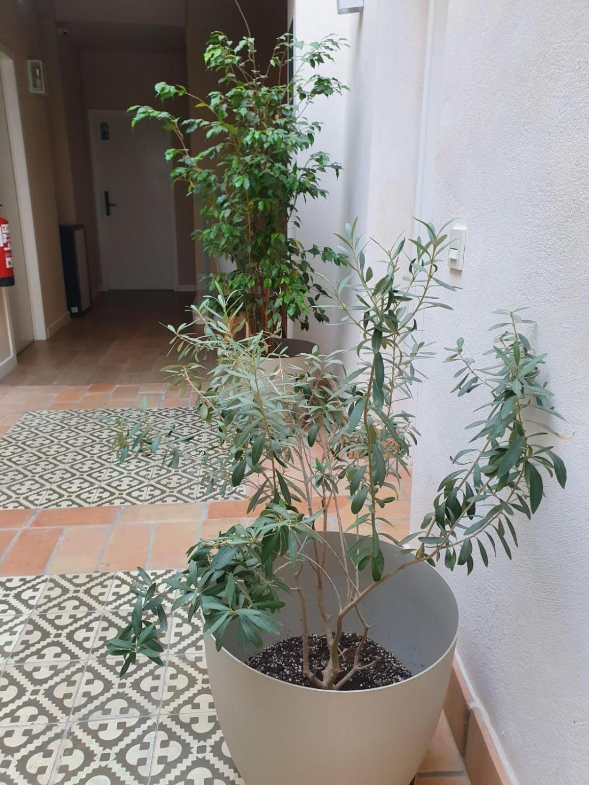 Alegoria Coliving Experience * Seville