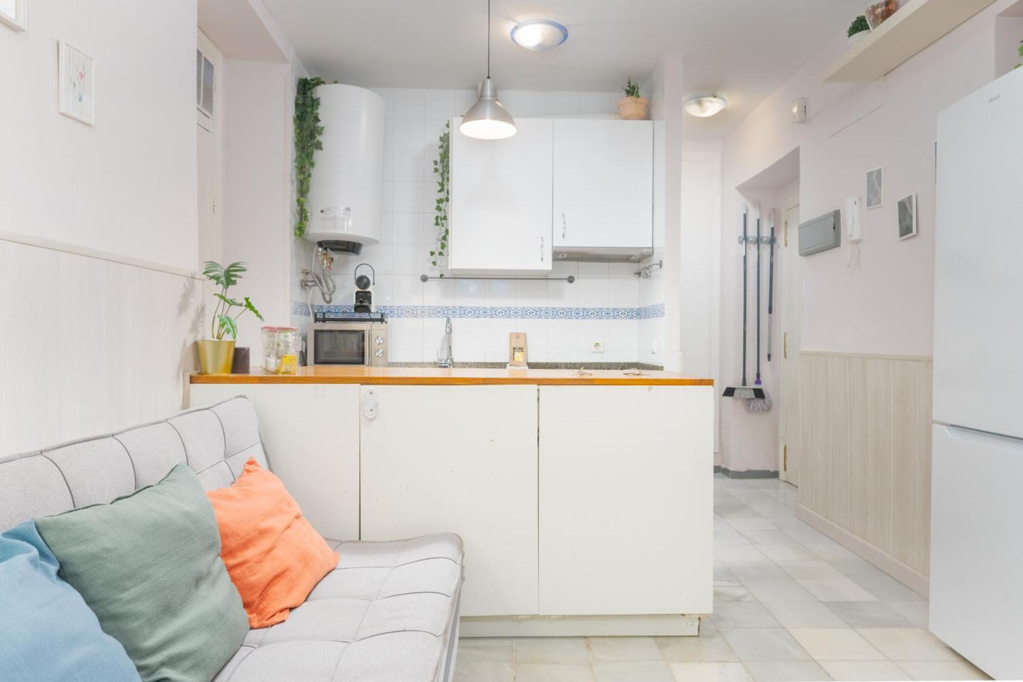 Apartamento Functional And Pretty-1bd 1bth- San Vicente Sevilla