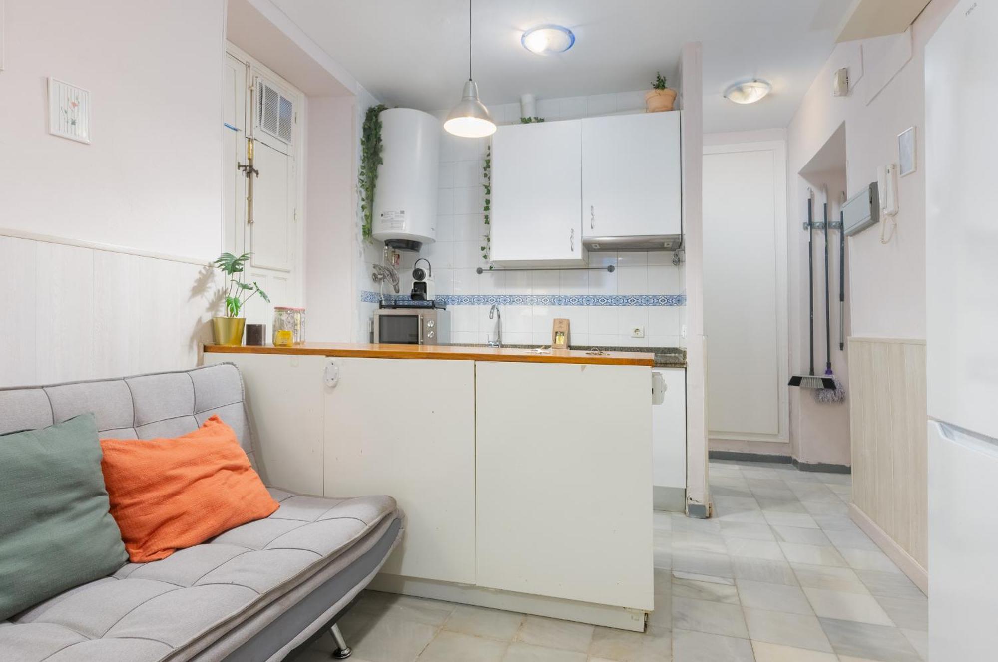 Functional And Pretty-1bd 1bth- San Vicente Sevilla