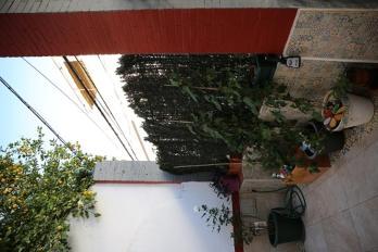 Apartamento Calle Virtud *