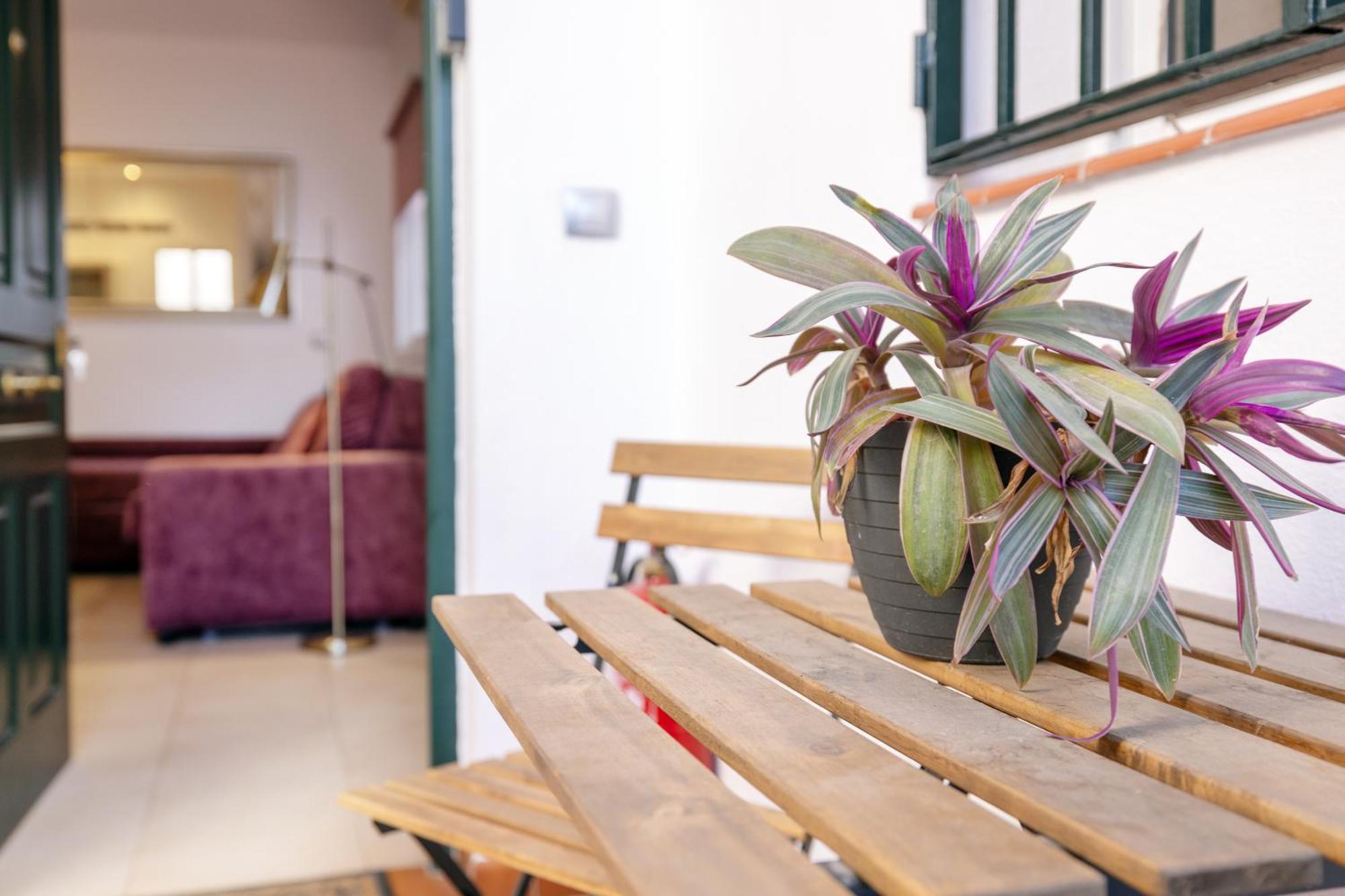 Apartamento Trianasol *