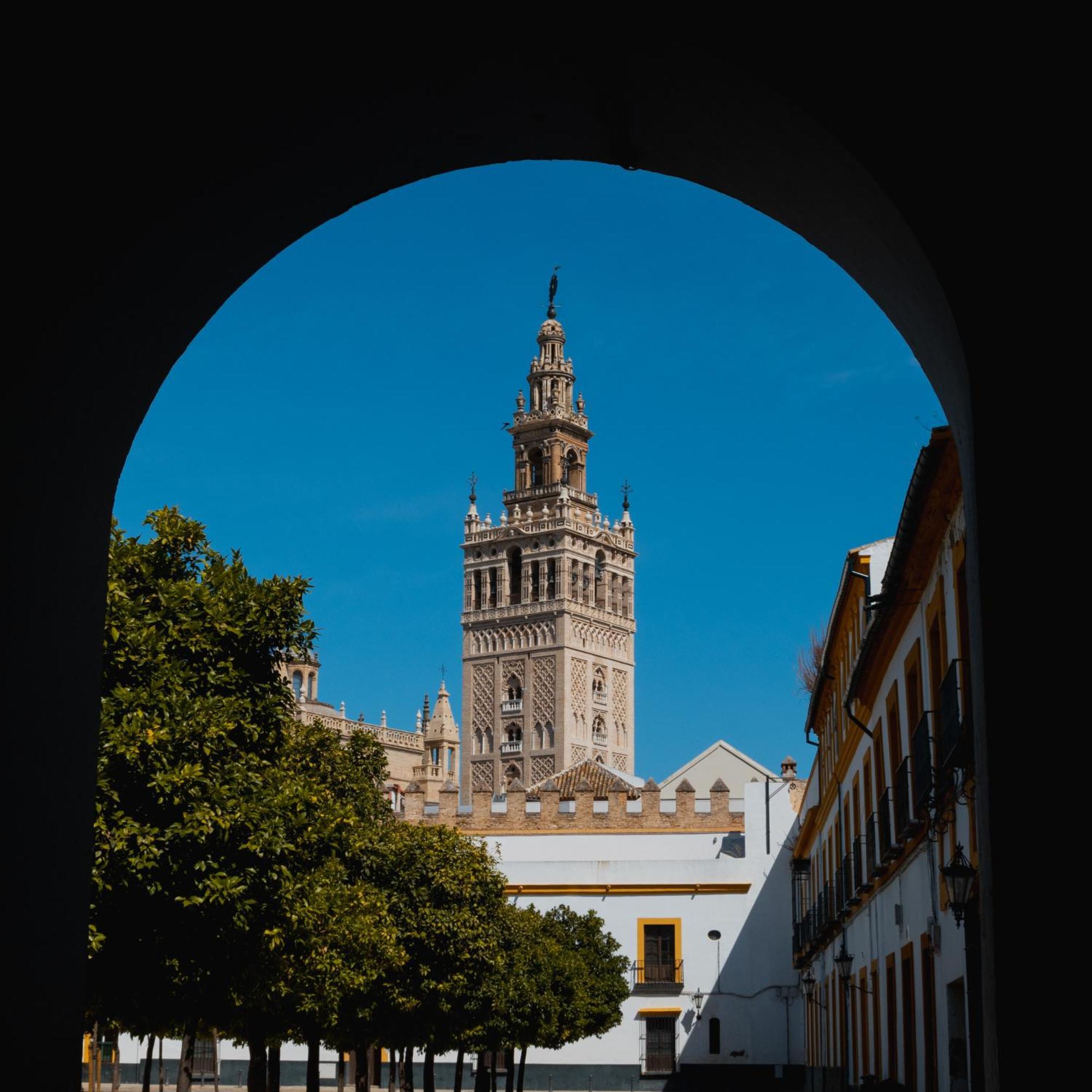 Calma Places - San Eloy 20 Apartamento