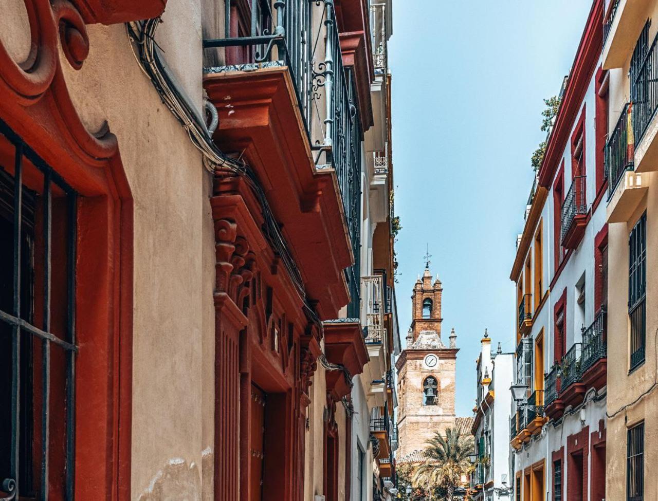 Gavidia Seville