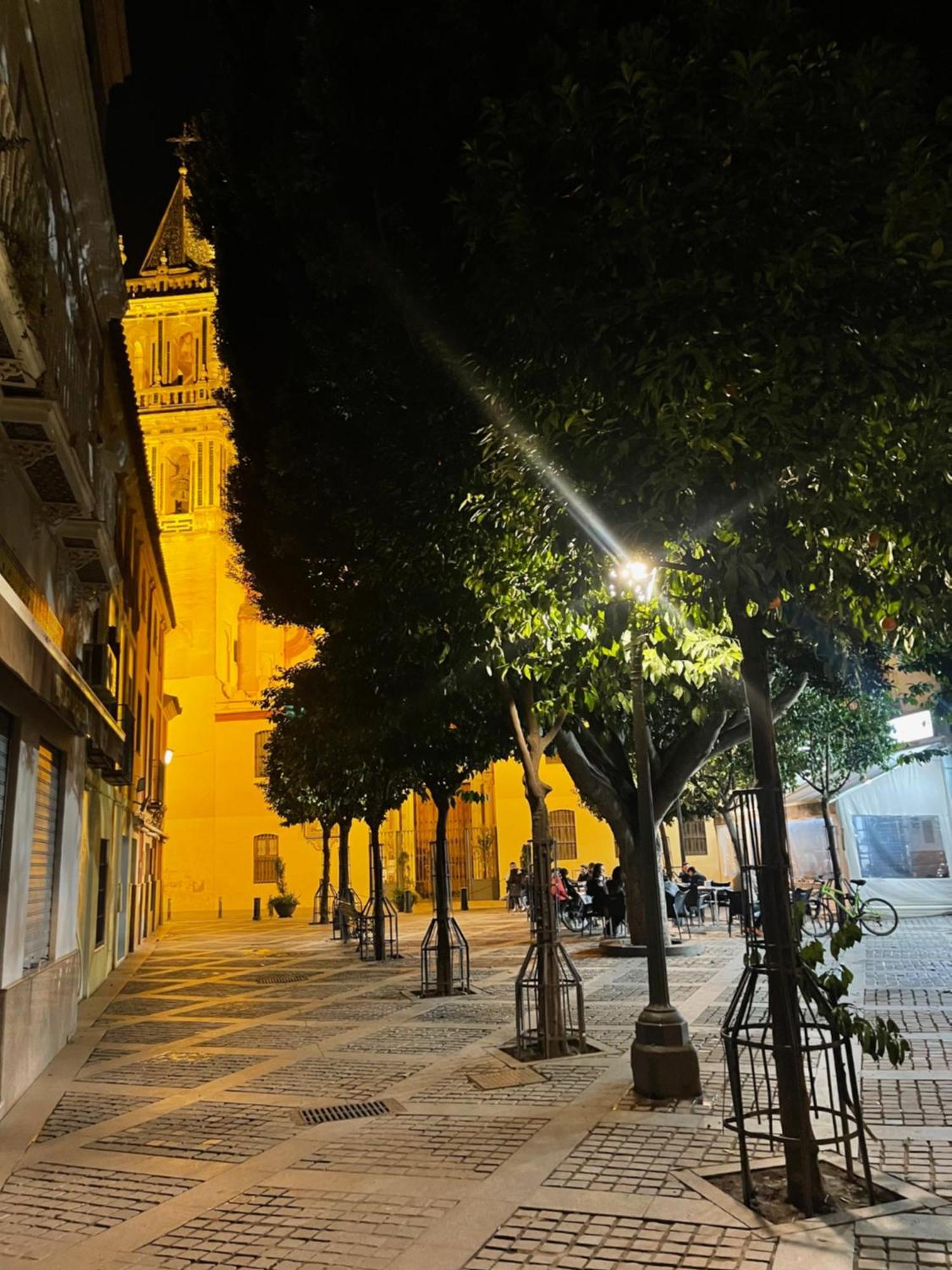 Calle Rodrigo De Triana Con Opcion De Parking *