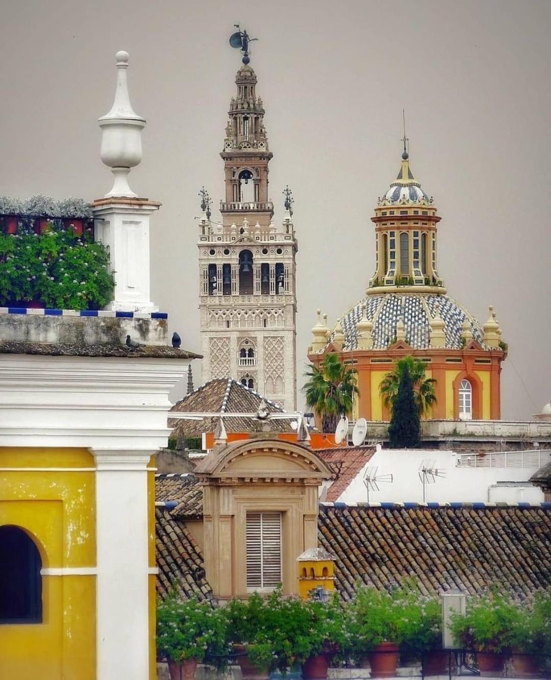 La Azotea Del Sol * Seville