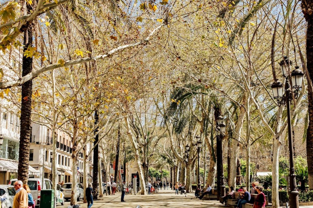 Plaza De La Magdalena Ii, Centro Historico Apartamento Sevilla