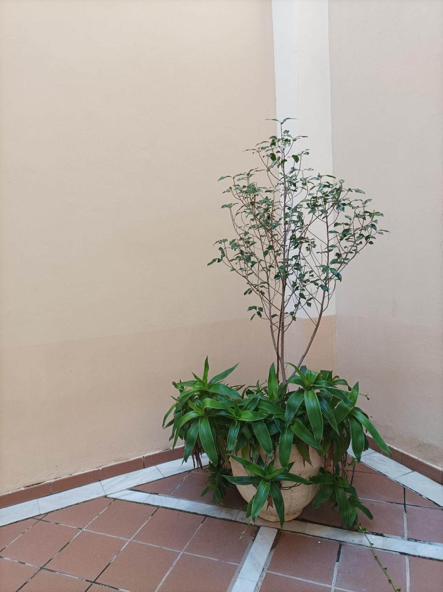 De Lux Apartamento Sevilla