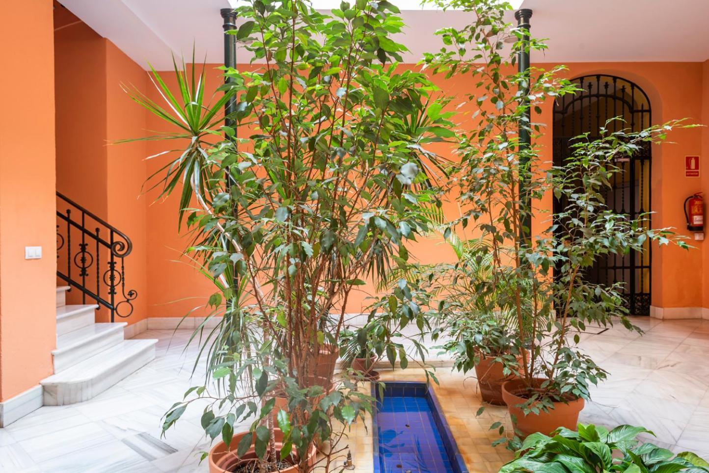 Alohamundi Campana Ii Apartamento *