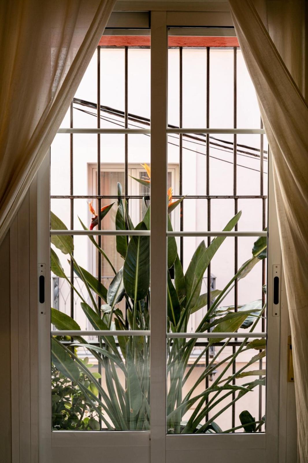 Gotoseville San Bernardo Apartamento