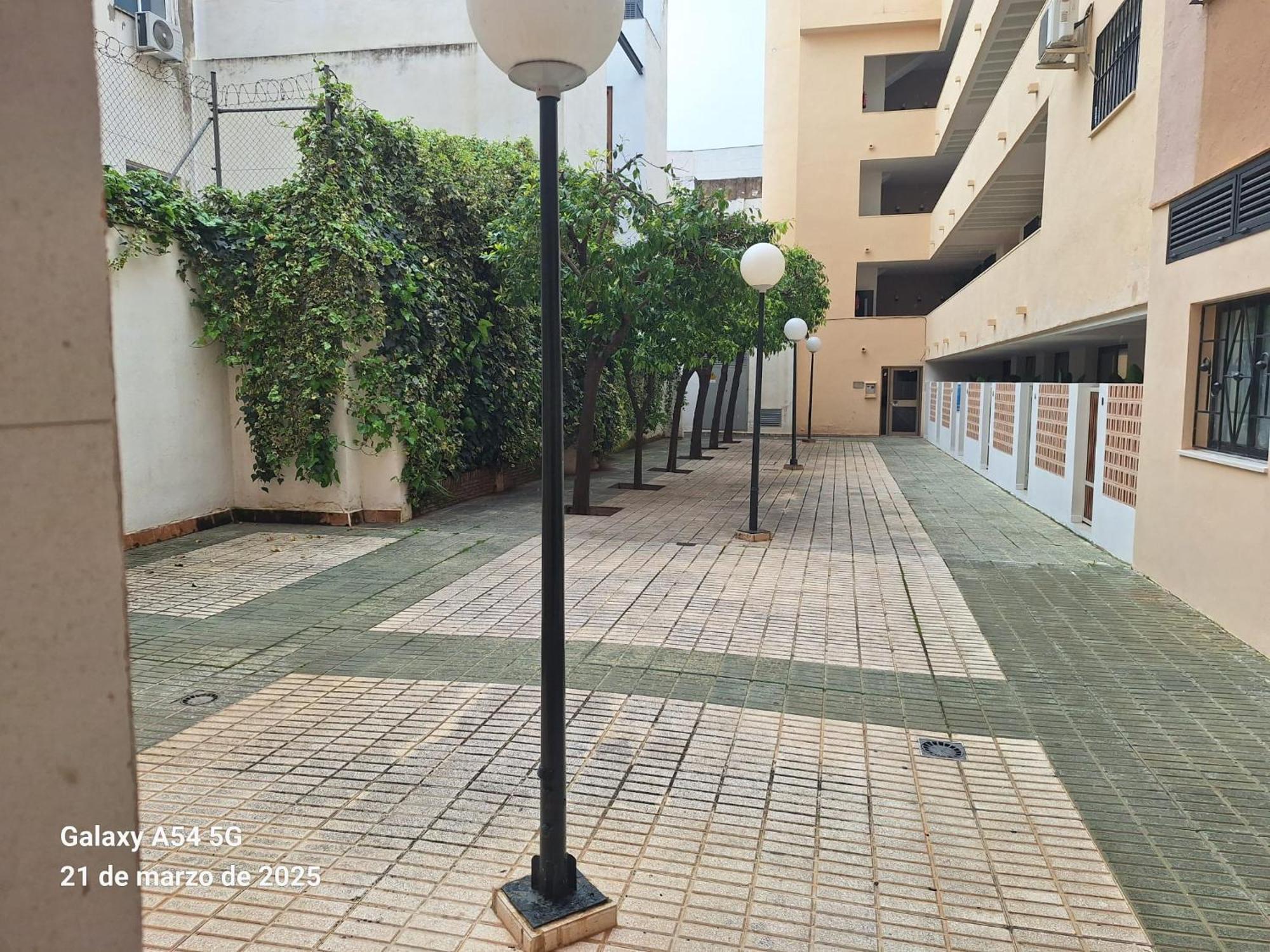 Santa Vicenta Maria En El Centro Sevilla