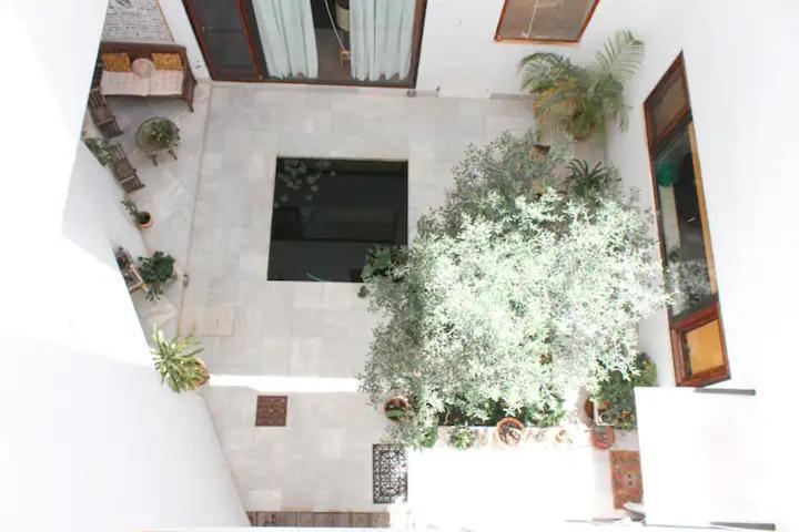 Unika Homes Alfalfa & Terrace Sevilla