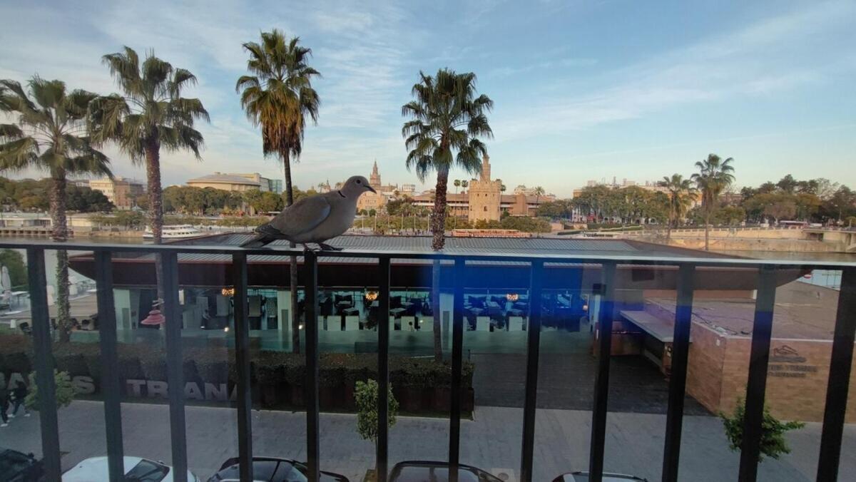 Сasa de vacaciones Betis Del Oro *