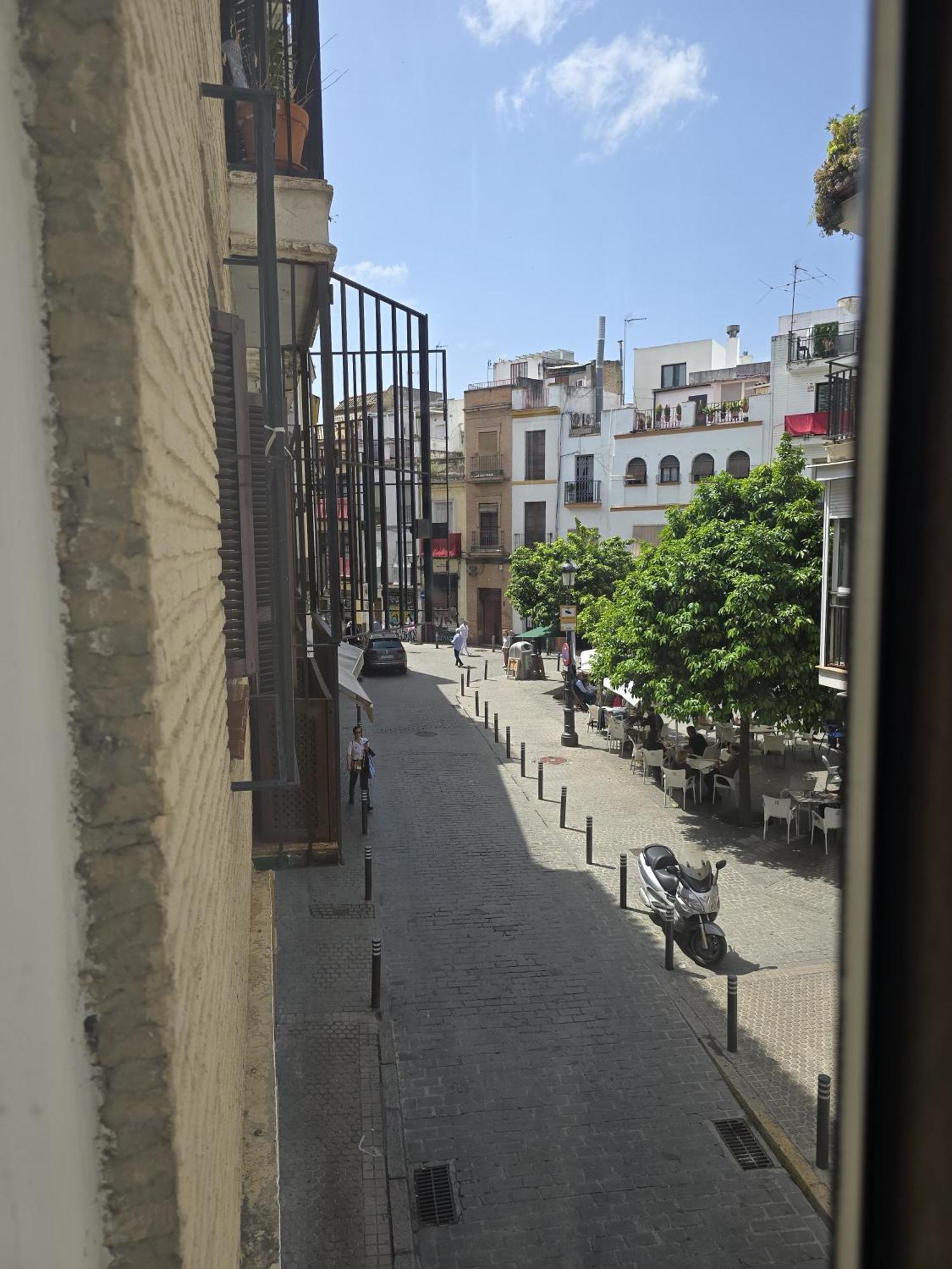 Le Petit Palue Sevilla