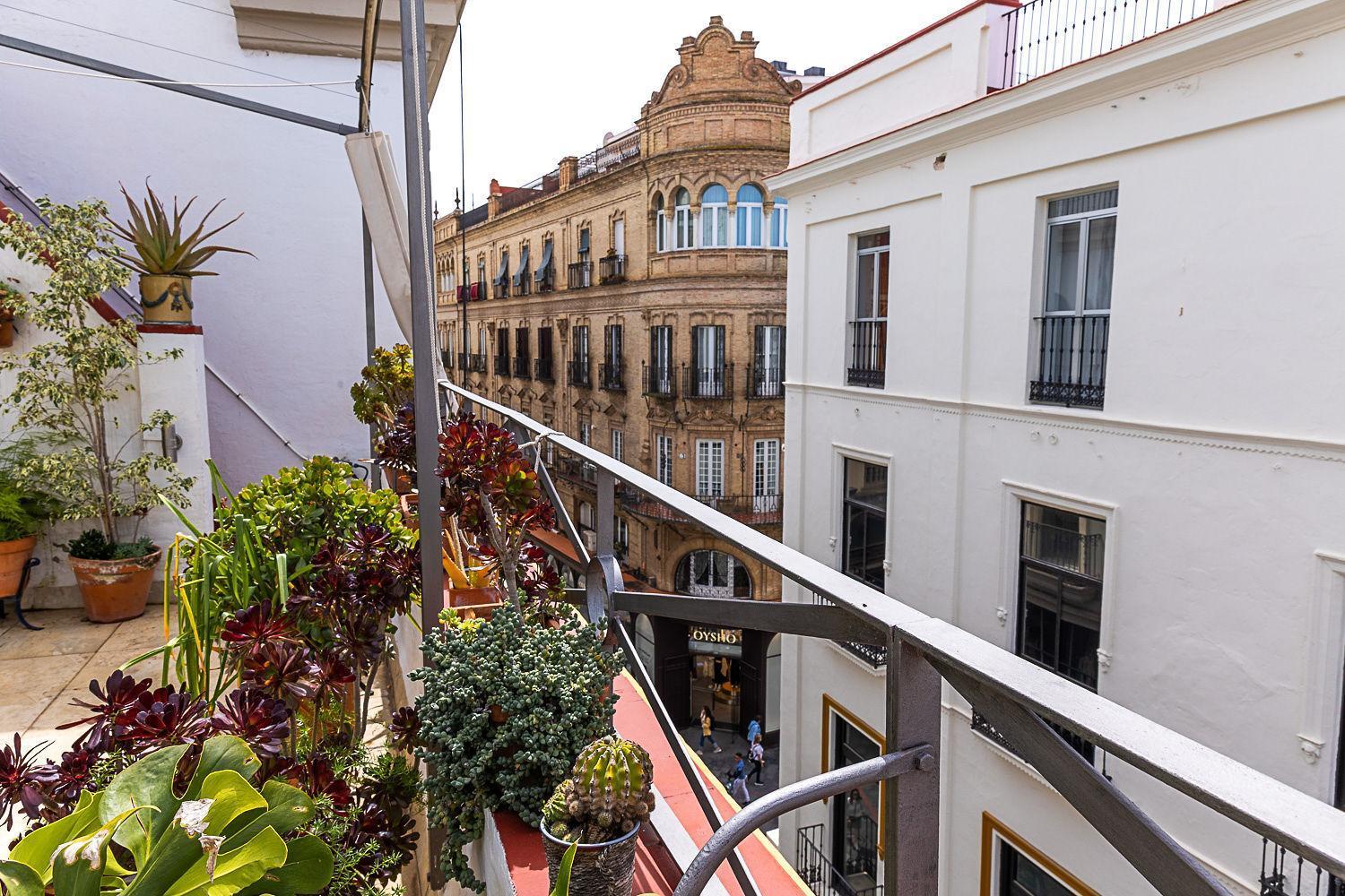 Rooftop Maisonette With Magnificent Terrace Apartamento *