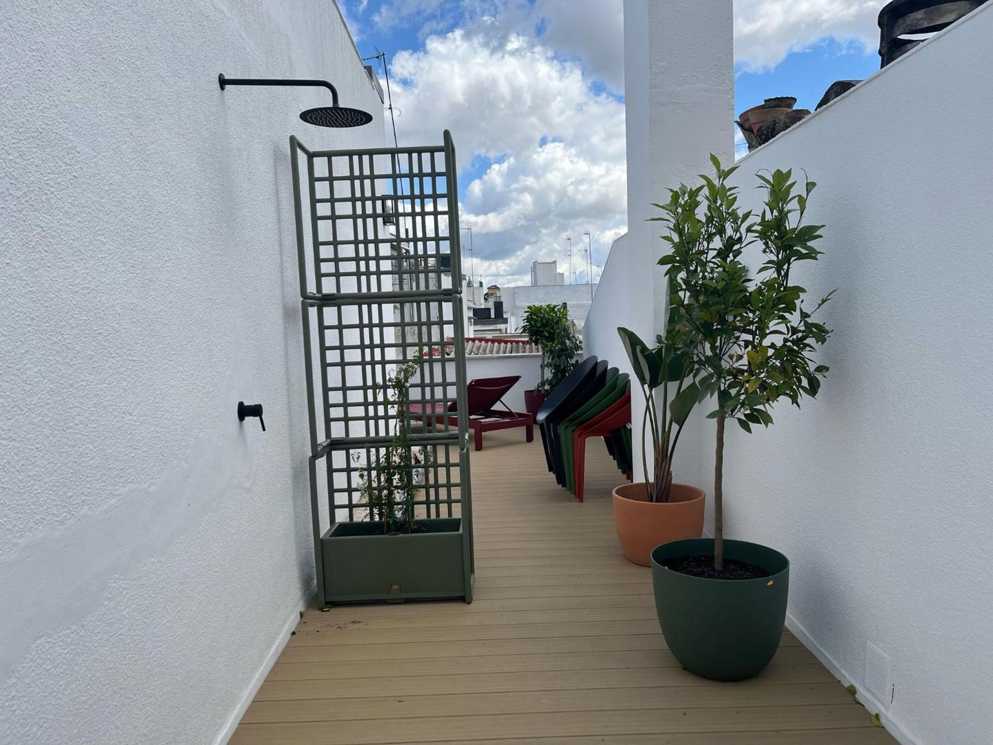 Galera Donkey Terraza Privada *