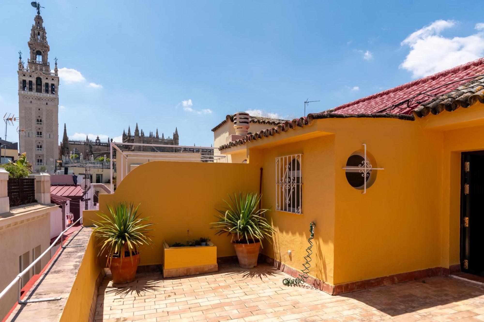 Apartment Cathedral Penthouse- Big Private Terrace- Parking *