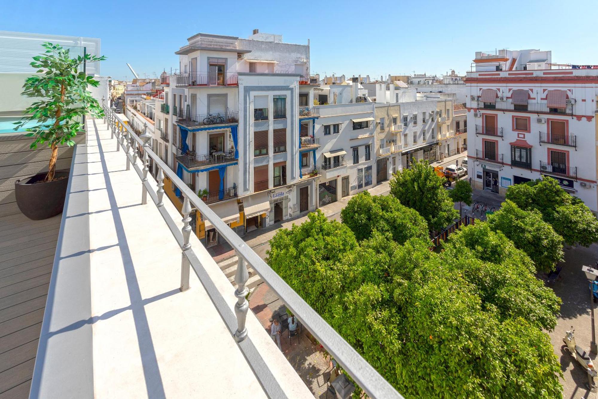 Genteel San Vicente