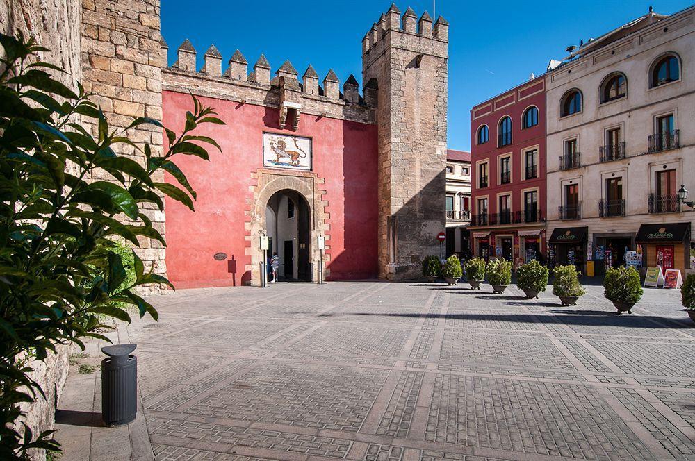 Apartamento Murillo Alcázar