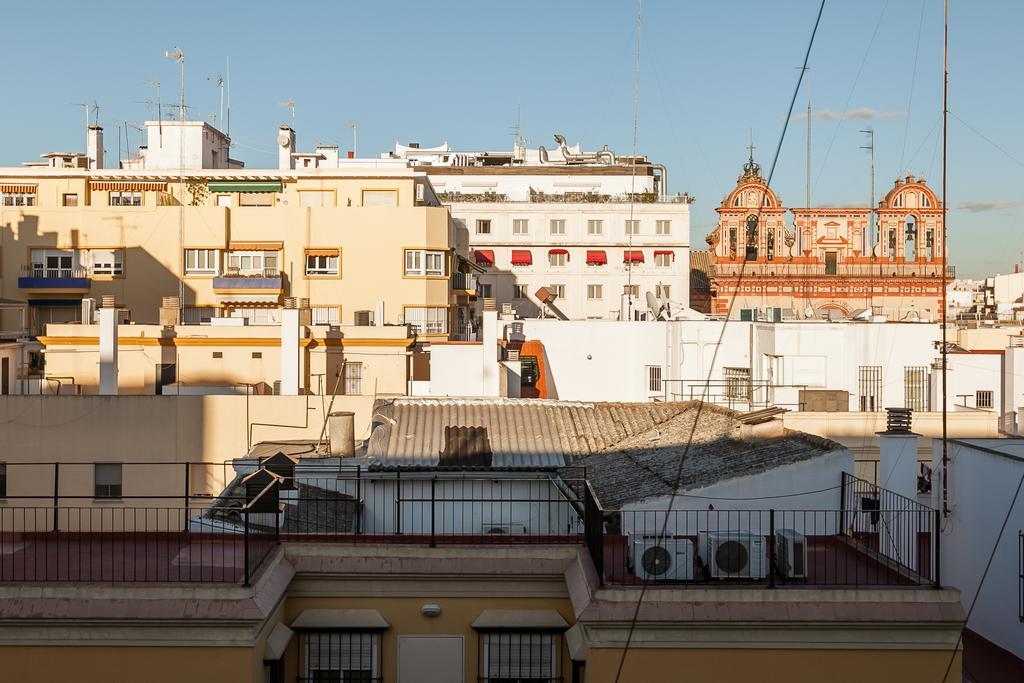 Ave César Sevilla
