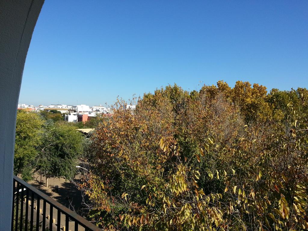 Alameda Gran Vista * Seville