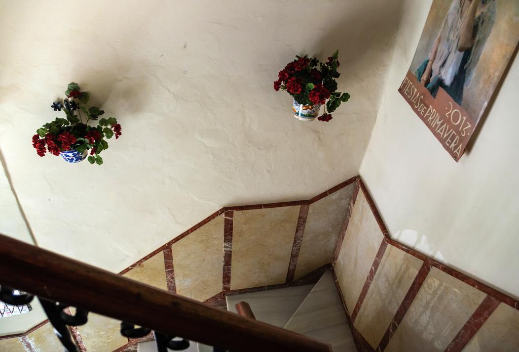 Guest house Perez Montilla