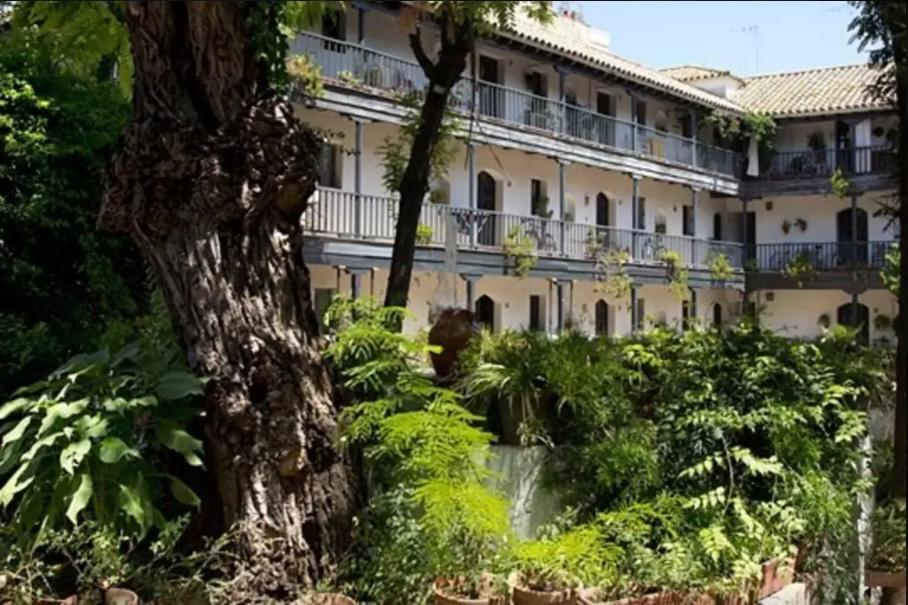Apartamento Corral Del Duque De Olivares Sevilla