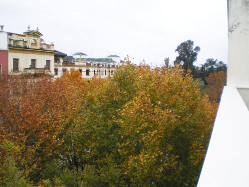 Murallas De Apartamento Sevilla