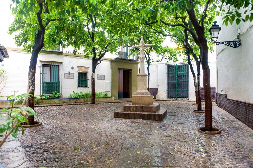 Apartamento Junto A La Catedral Apartamento