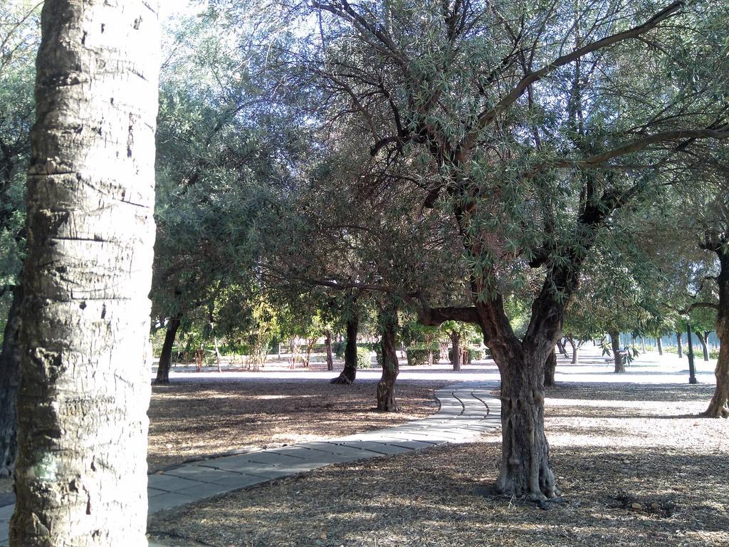 Buhaira Apartment