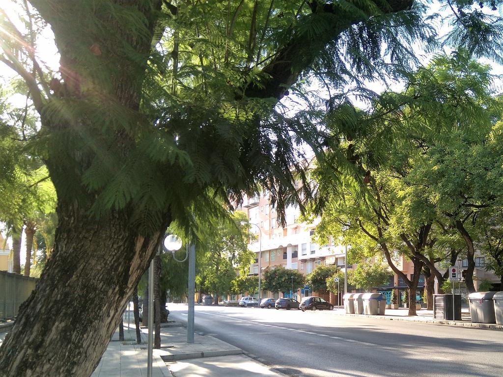 Apartment Buhaira Seville