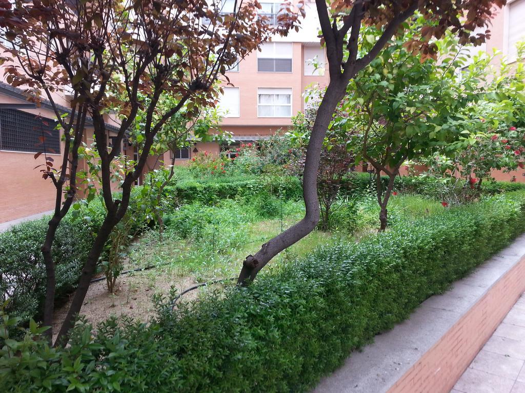 Apartment Buhaira